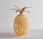 Lit Woven Pineapple