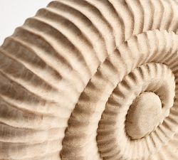 Carved Wood Shell