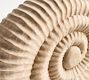 Carved Wood Shell