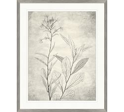 Wildflower Impression Framed Print