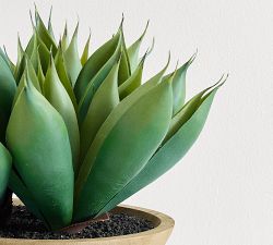 Faux Composed Spike Aloe Plant In Wooden Pot