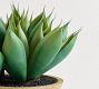 Faux Composed Spike Aloe Plant In Wooden Pot