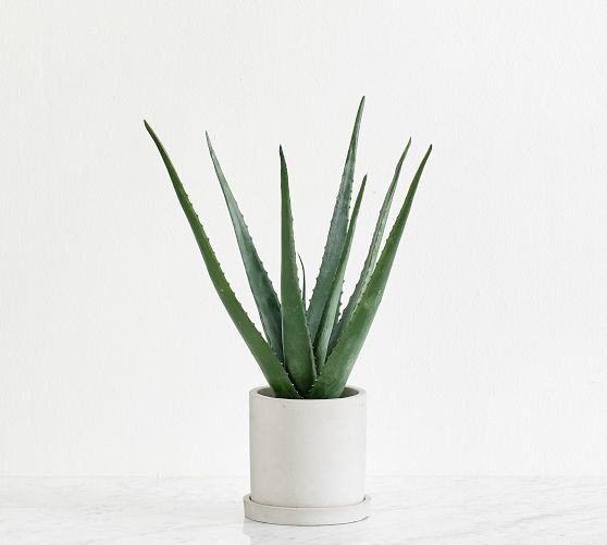 Faux Potted Double Spike Aloe Succulent