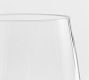 Caterer's Box Outdoor Stemless Wine Glasses - Set of 12