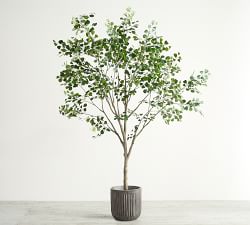 Faux Shady Lady Olive Tree