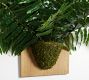 Faux Fern Wall Art