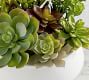 Faux Succulent in Ceramic Bowl