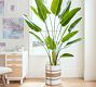 Faux Banana Palm Tree