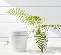 Stackable Outdoor Planters - Set of 6