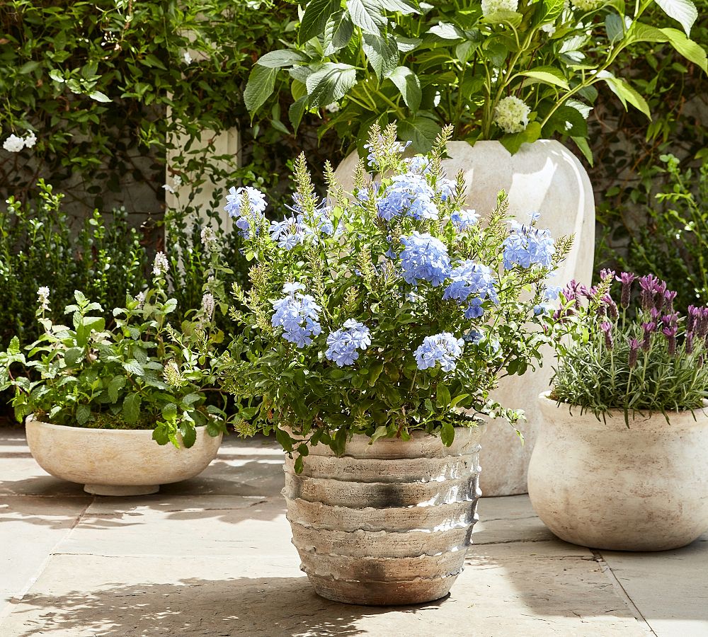 Artisan Hand Painted Terracotta Outdoor Planters