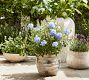 Artisan Hand Painted Terracotta Outdoor Planters