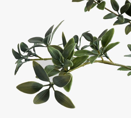 Faux Black Olive Tree