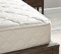 Naturepedic&#174; Organic Essential Spring Mattress (10&quot;h)