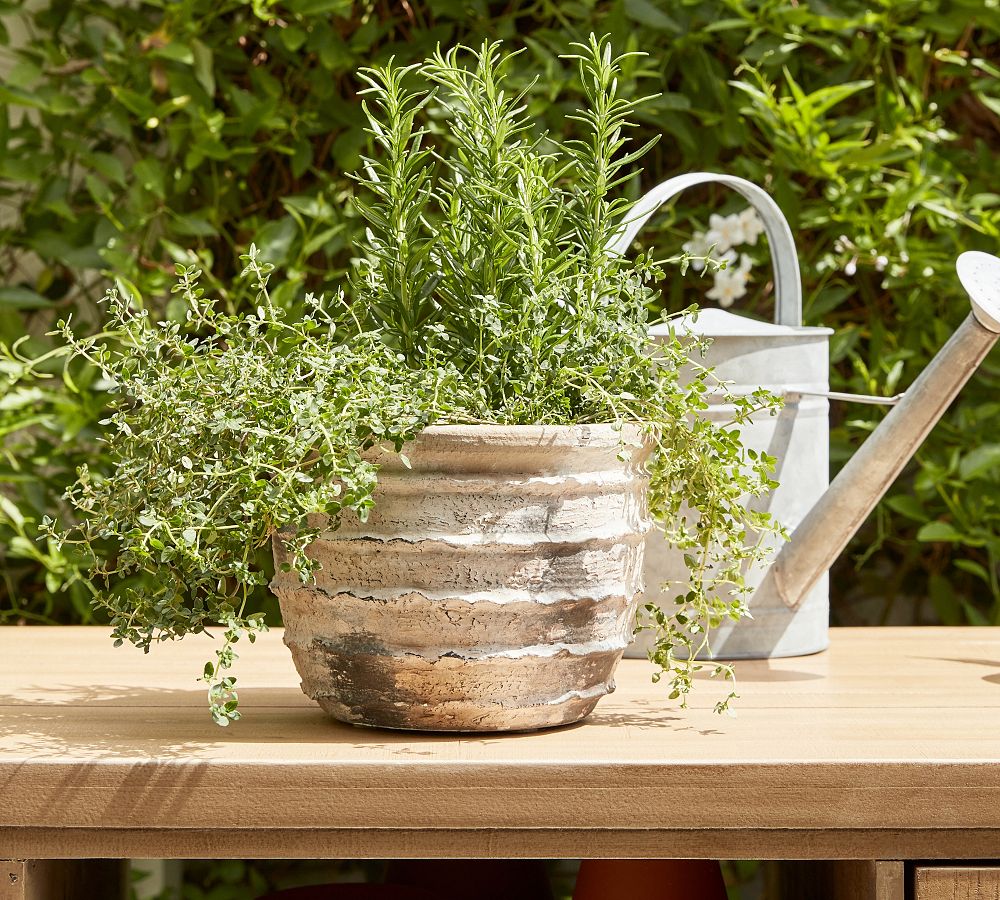 Artisan Hand Painted Terracotta Outdoor Planters