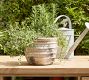 Artisan Hand Painted Terracotta Outdoor Planters