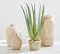 Faux Speckled Aloe Vera Plant In Terracotta Pot