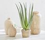 Faux Speckled Aloe Vera Plant In Terracotta Pot