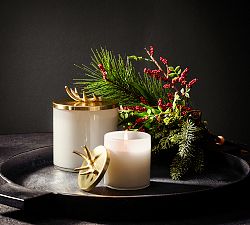 Stag Gold Lidded Scented Candle - Winter Spruce