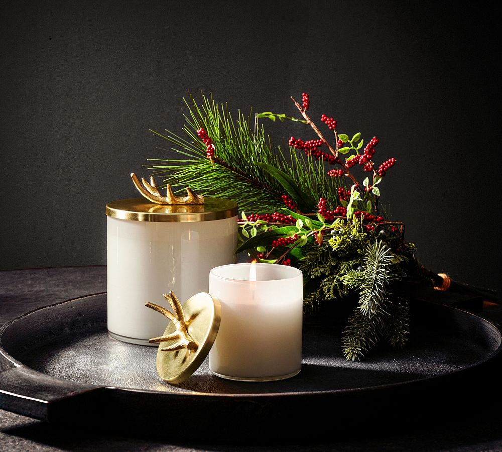 Stag Gold Lidded Scented Candle - Winter Spruce