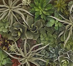 Faux Succulent Wall Art