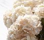 Faux Ivory Hydrangea Bundle