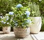 Artisan Hand Painted Terracotta Outdoor Planters