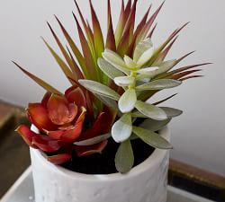 Faux Succulent Arrangement