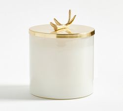 Stag Gold Lidded Scented Candle - Winter Spruce