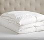 Duvet Inserts