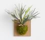 Faux Mounted Staghorn Ferns