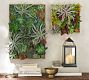 Faux Succulent Wall Art