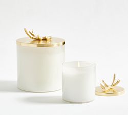 Stag Gold Lidded Scented Candle - Winter Spruce