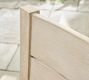 Indio Eucalyptus Modern Outdoor Dining Side Chair