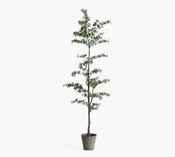 Faux Black Olive Tree