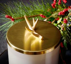 Stag Gold Lidded Scented Candle - Winter Spruce