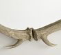 Antler Round Wall Mirror