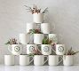 Holly Alphabet Mug
