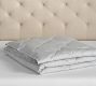 Cotton Down Blanket