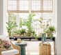 Faux Sword Fern