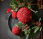 Faux Berry Kissing Ball