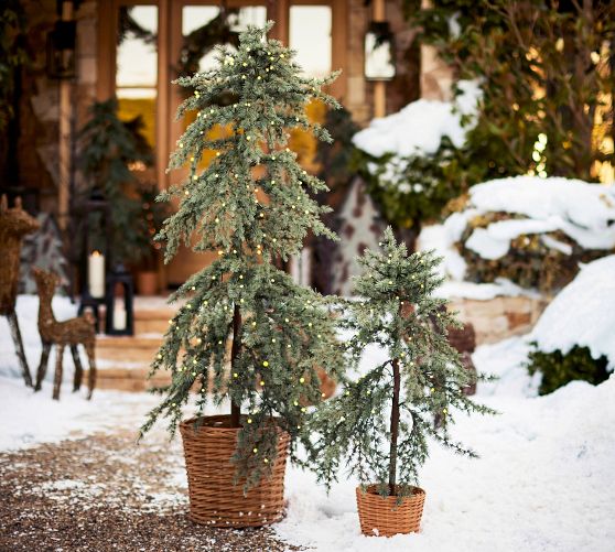 Lit Faux Draping Tree In Basket