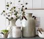 Faux Silver Dollar Eucalyptus Branch