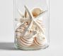 Mixed Shell Vase Filler
