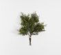 Faux Juniper Clippings Bundle