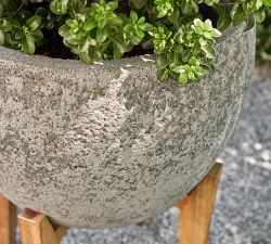 Wood Plant Stand