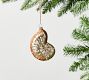 Shell Ornaments