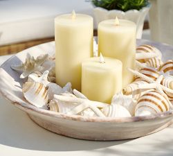 Mixed Shell Vase Filler