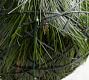 Light Up Faux Evergreen Spheres - Set of 2