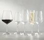 ZWIESEL GLAS Taste Champagne Glasses