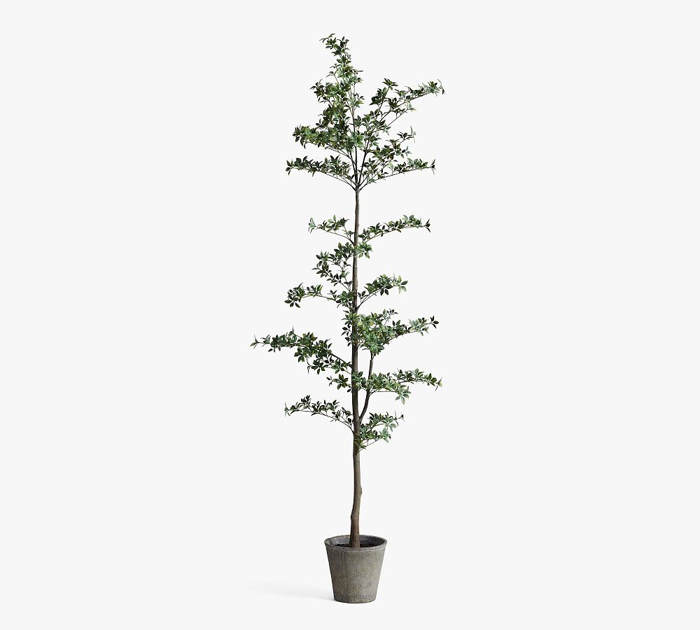 Faux Black Olive Tree